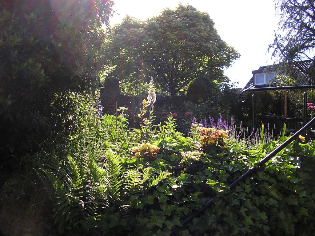 Walnut Lodge Bed & Breakfast Noorbeek Exterior foto